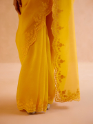 amisha-kothari-label-saree-basanti-yellow-6