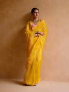 amisha-kothari-label-saree-basanti-yellow-3
