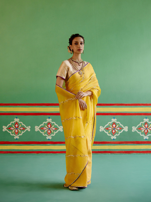 amisha-kothari-label-festive-2024-rangraag-rajratan-saree-yellow-1