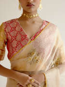 amisha-kothari-label-kikli-sarees-vasansi- gold-5