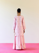 amisha-kothari-label-sharara-balesar-pink-6