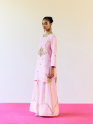 amisha-kothari-label-sharara-balesar-pink-4