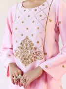 amisha-kothari-label-sharara-balesar-pink-8