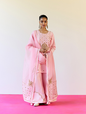 amisha-kothari-label-sharara-balesar-pink-1