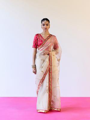 amisha-kothari-label-saree-nagaur-1