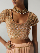 amisha-kothari-label-festive-2026-blouse-ratna-pale-pink-2