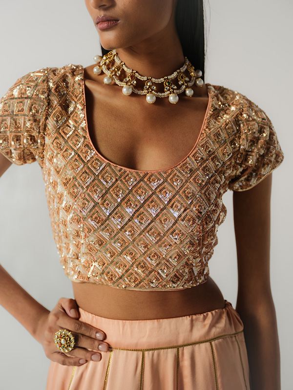 amisha-kothari-label-festive-2026-blouse-ratna-pale-pink-2
