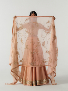 amisha-kothari-label-festive-2026-dupatta-sindh-dupatta-pale-pink-1