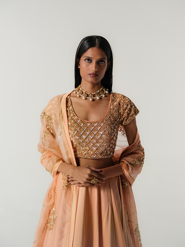 amisha-kothari-label-festive-2026-blouse-ratna-pale-pink-3