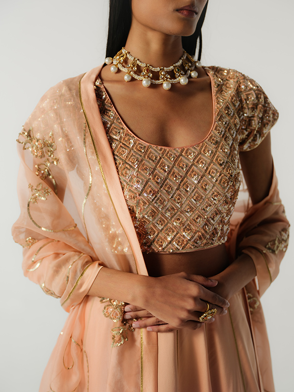 amisha-kothari-label-festive-2026-blouse-ratna-pale-pink-4