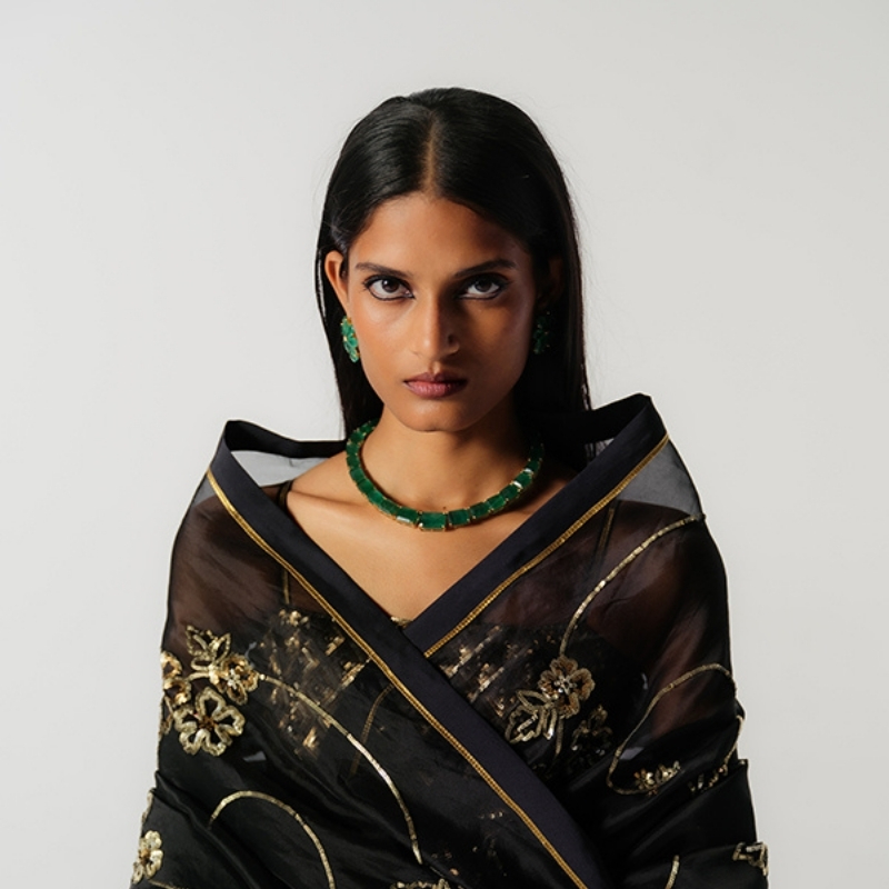 amisha-kothari-label-sarees
